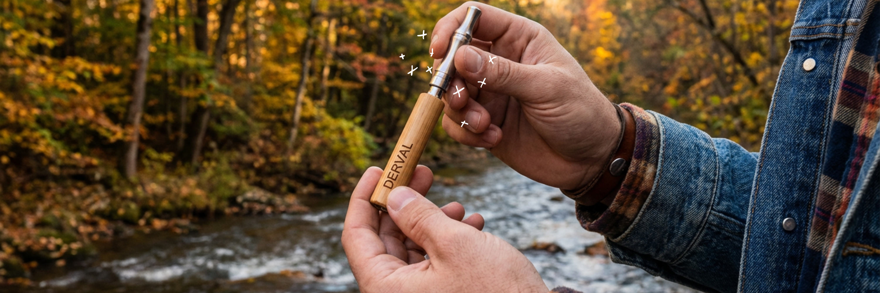 Image Pleine Largeur